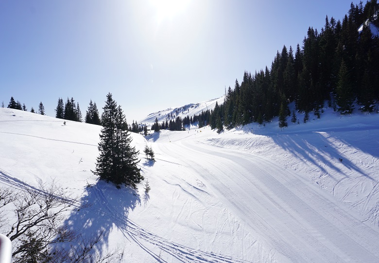 DSC04062 Jahorina 1