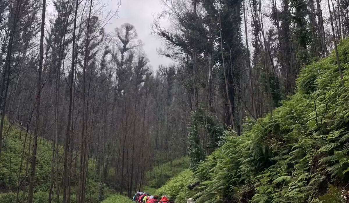Madeira 3