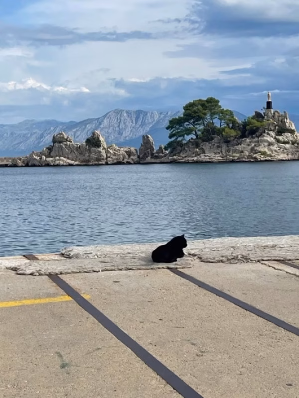Pelješac 1